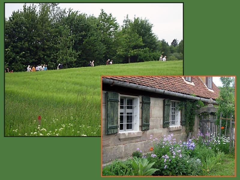 Wiesengrund Wiesengrund